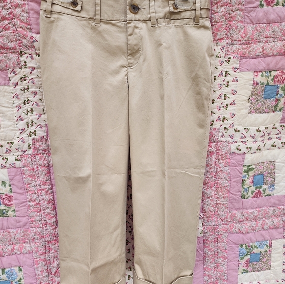 Banana Republic Contoured Fit Capri Pants - Picture 6 of 7